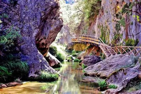 Cazorla